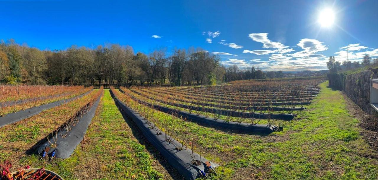 Quinta De Requeixo Farm stay *
